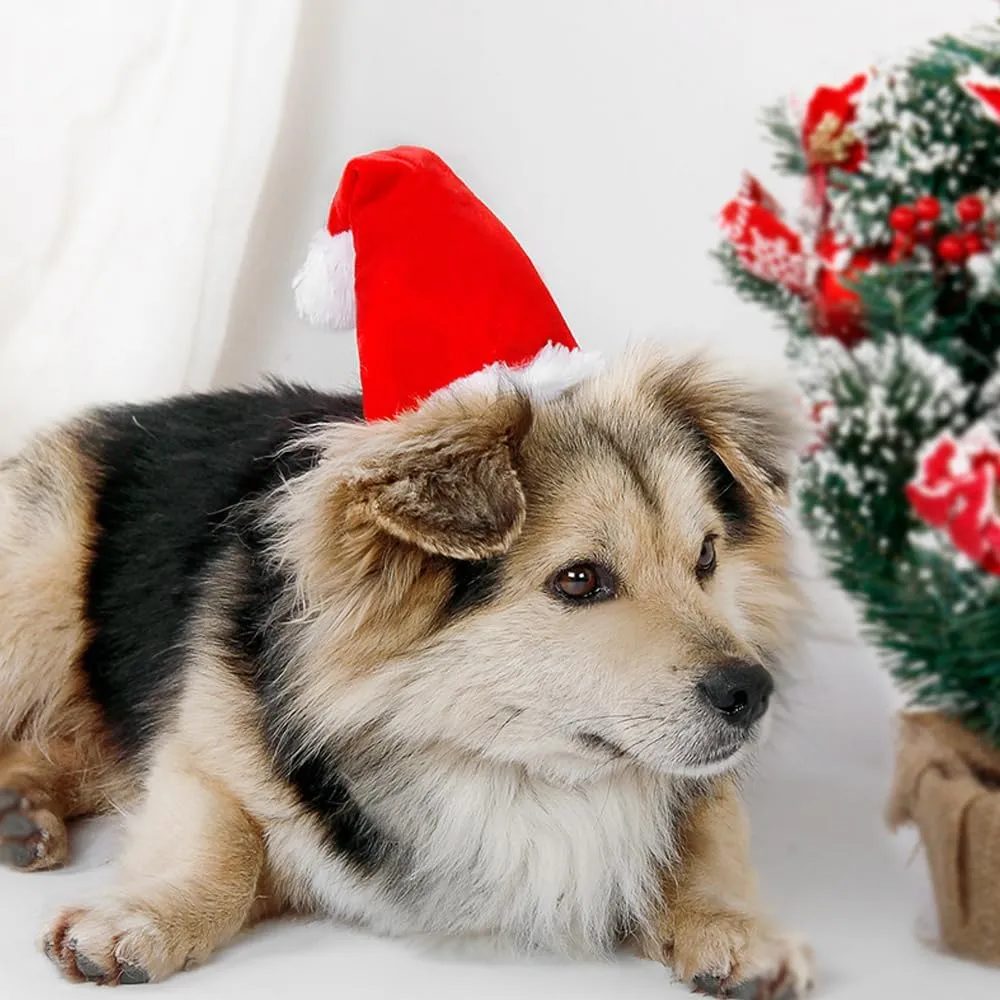 ANIAC Adjustable 3D Christmas Hat for Small Dog Cats Holiday Pet Accessories Decoration Puppy Christmas Outfit Dog Christmas Costume Headband Cat Santa Hat (Red Hat, Small)
