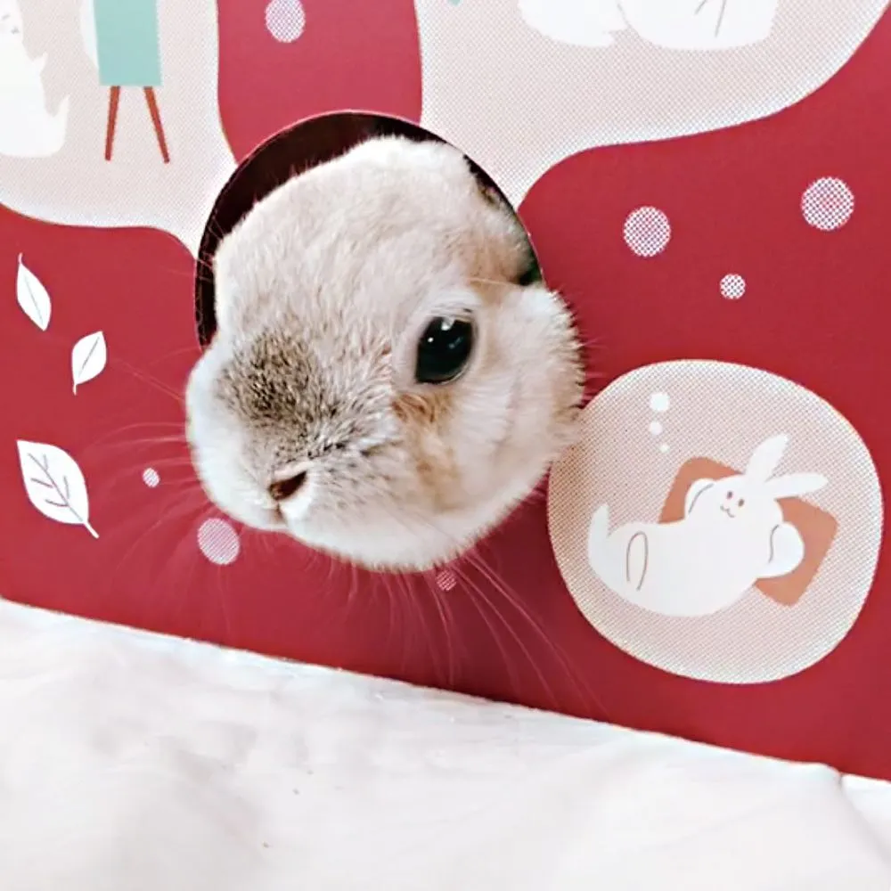 Animan Playing House For Rabbits
