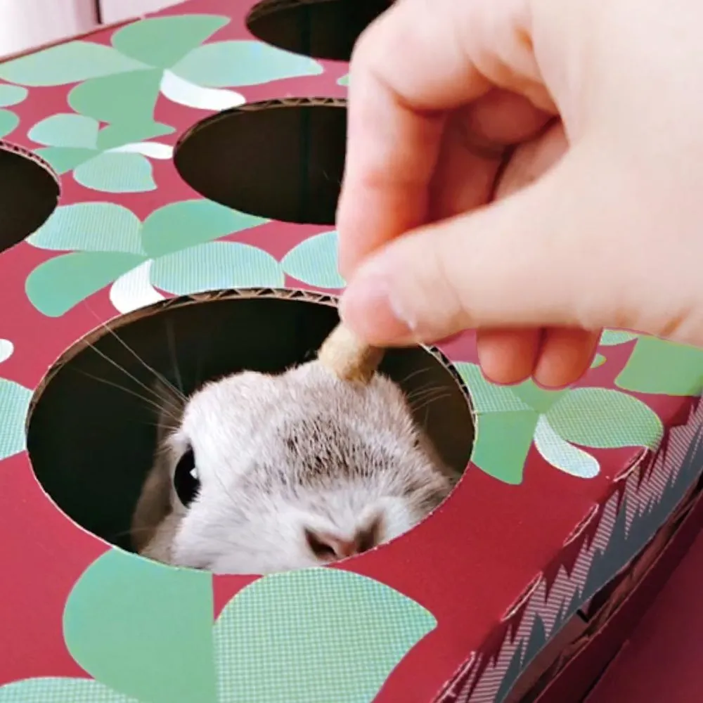 Animan Playing House For Rabbits