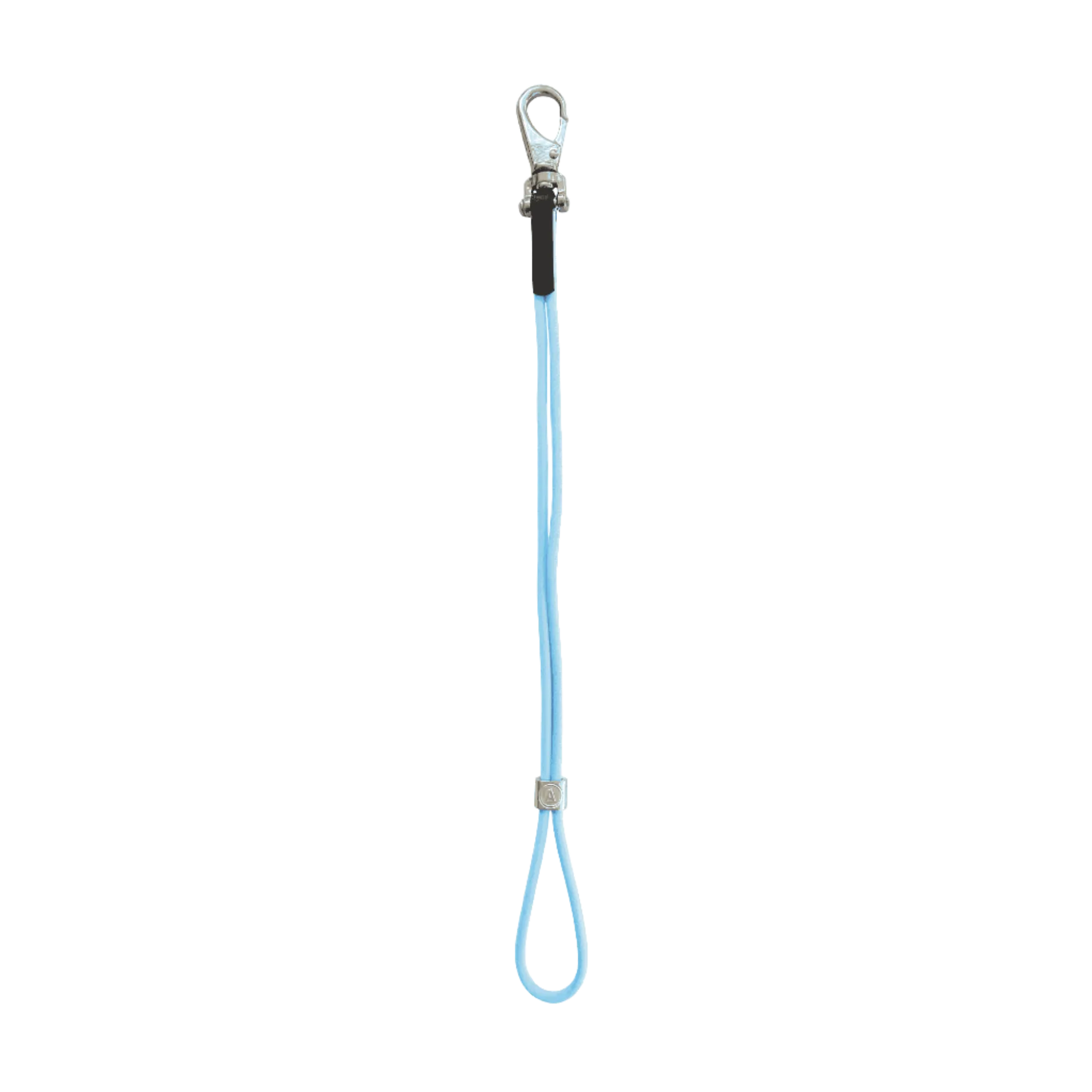 AXL Show Loop Sky Blue by Alpha Grooming