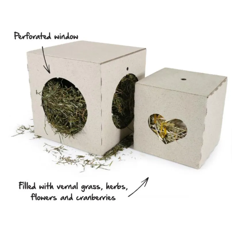 Cupid & Comet | Small Pet Christmas Treat | Festive Pass The Parcel