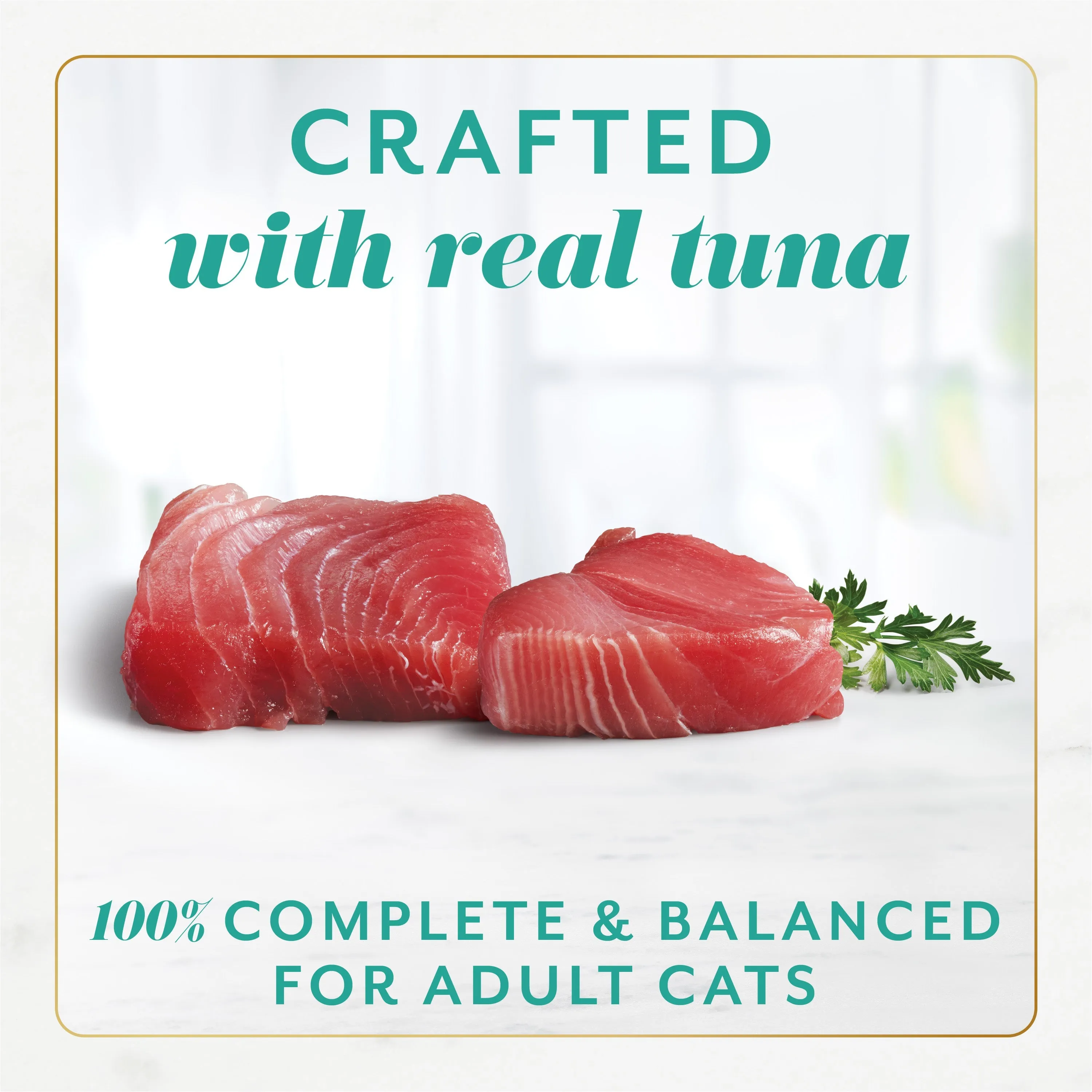 Fancy Feast Gems Mousse Pate, 12ct Tuna (Dual Packs - 24 Entrees)