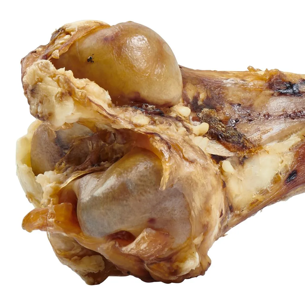 Giant Femur Bone For Dogs – Mammoth Dog Bone For Aggressive Chewers