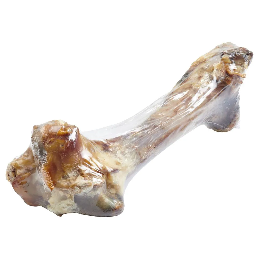 Giant Femur Bone For Dogs – Mammoth Dog Bone For Aggressive Chewers