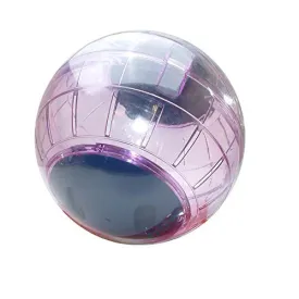 Hamster Play Ball