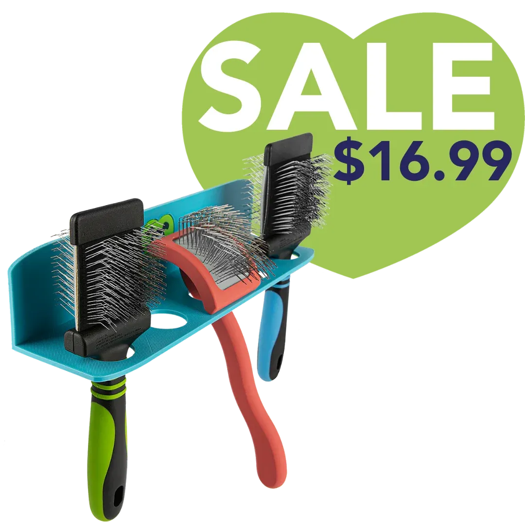 Hanging Brush Holder Cyan by PetStore.Direct