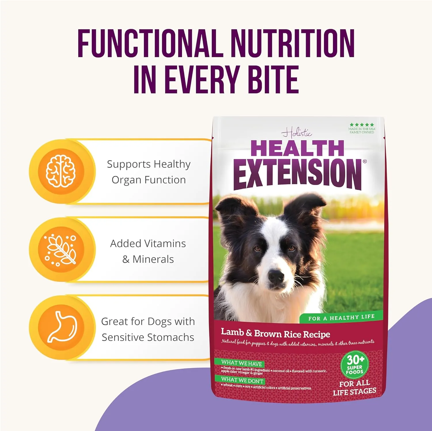 Health Extension Lamb & Brown Rice Dry Dog Food (4 lb / 1.81 kg) - Nutritious Free-Range Lamb Formula with Probiotics, Antioxidants & Omega 3 for Dogs with Sensitive Digestion (Pack of 2)