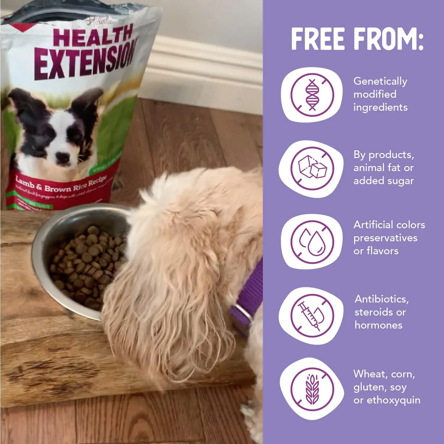 Health Extension Lamb & Brown Rice Dry Dog Food (4 lb / 1.81 kg) - Nutritious Free-Range Lamb Formula with Probiotics, Antioxidants & Omega 3 for Dogs with Sensitive Digestion (Pack of 2)