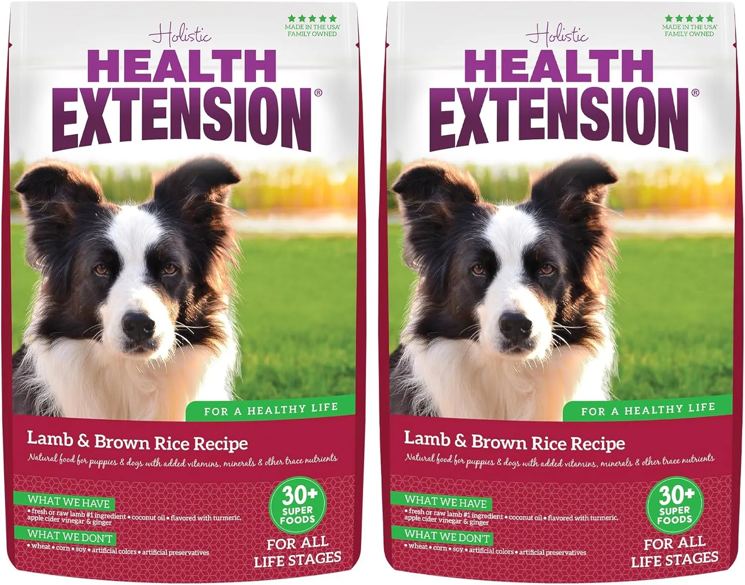 Health Extension Lamb & Brown Rice Dry Dog Food (4 lb / 1.81 kg) - Nutritious Free-Range Lamb Formula with Probiotics, Antioxidants & Omega 3 for Dogs with Sensitive Digestion (Pack of 2)