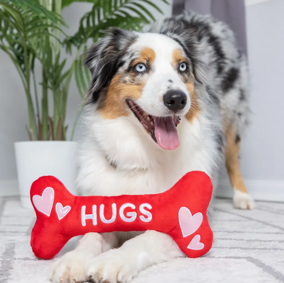 Huxley & Kent Hugs & Kisses Bone 2.0 Power Plush Dog Toy - Size Large