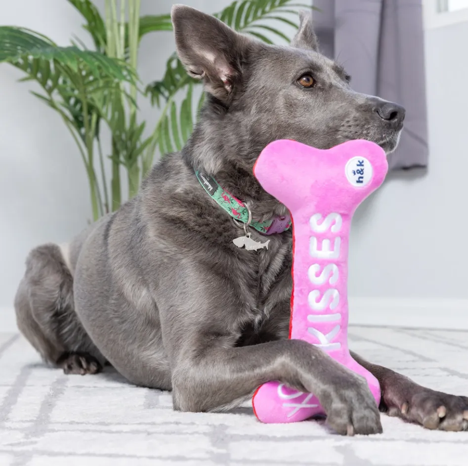 Huxley & Kent Hugs & Kisses Bone 2.0 Power Plush Dog Toy - Size Large
