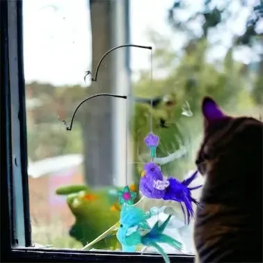 KONG Cat Window Teaser
