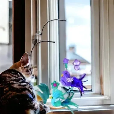 KONG Cat Window Teaser