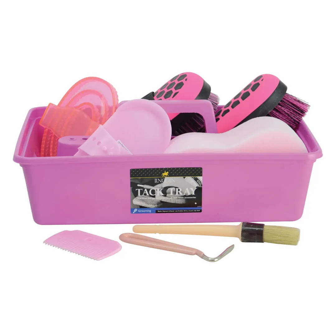 Lincoln Complete Grooming Kit