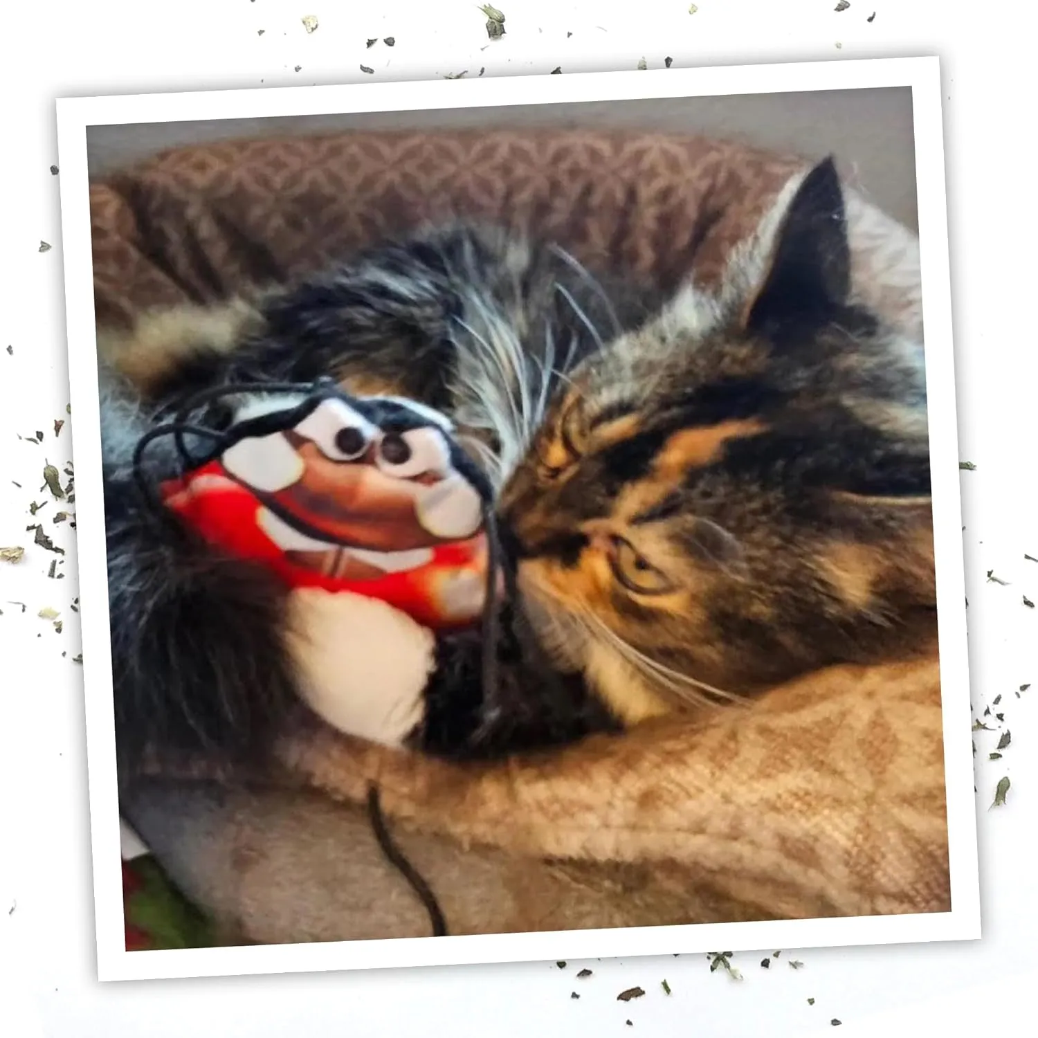 Meowijuana | Lady Bug Bundle | Get Sprung Refillable Lady Bug Toy and Garden Pawty Catnip Blend | Promotes Play and Cat Health | Includes North American Organic Catnip