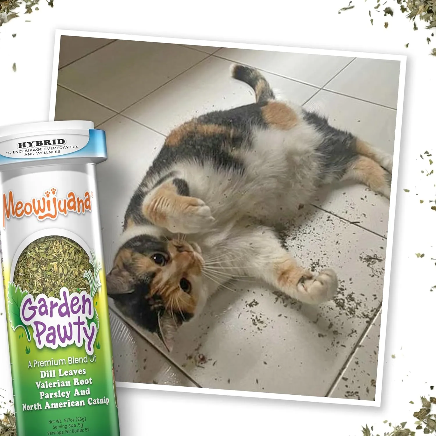 Meowijuana | Lady Bug Bundle | Get Sprung Refillable Lady Bug Toy and Garden Pawty Catnip Blend | Promotes Play and Cat Health | Includes North American Organic Catnip