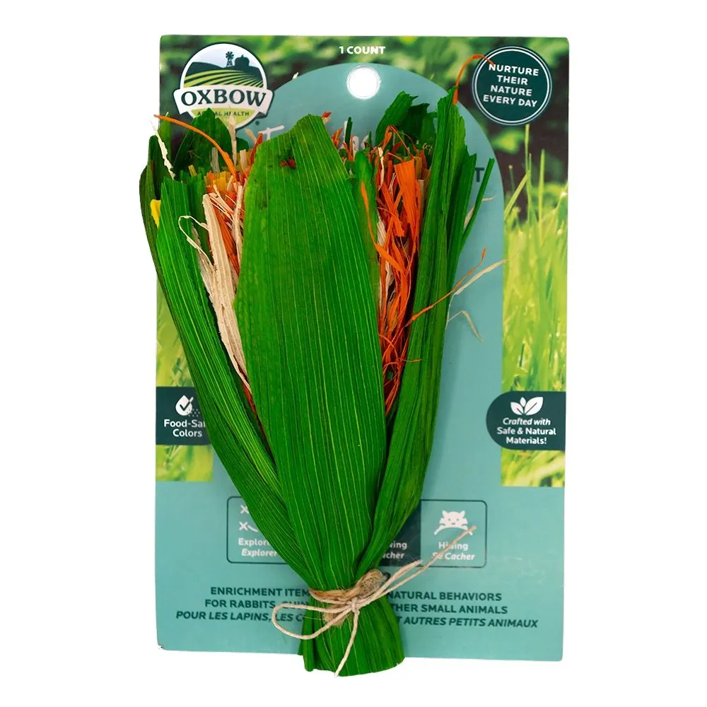 Oxbow Enriched Life Celebration Bouquet