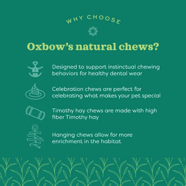 Oxbow Enriched Life - Celebration Cake