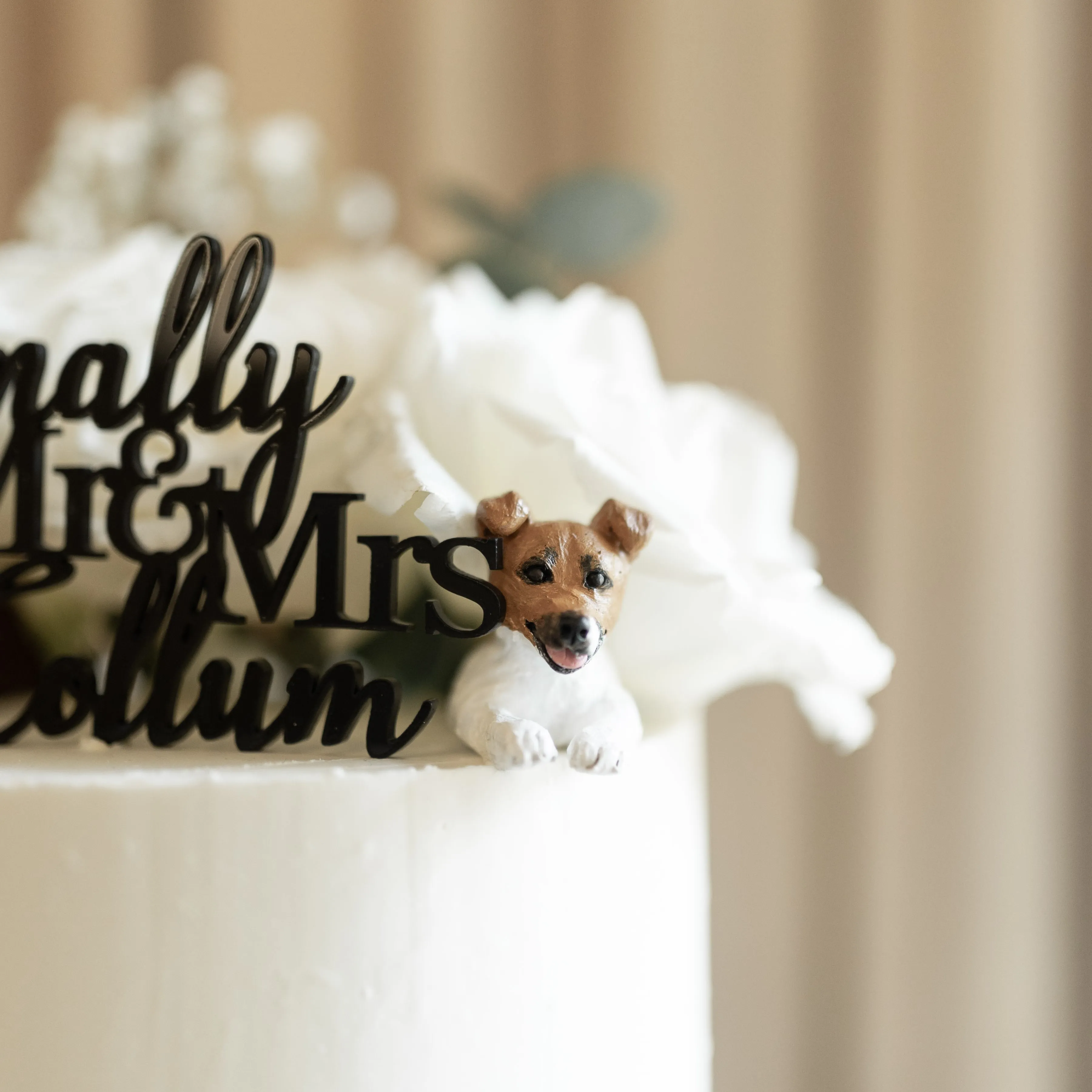 Peeking custom pet wedding cake topper