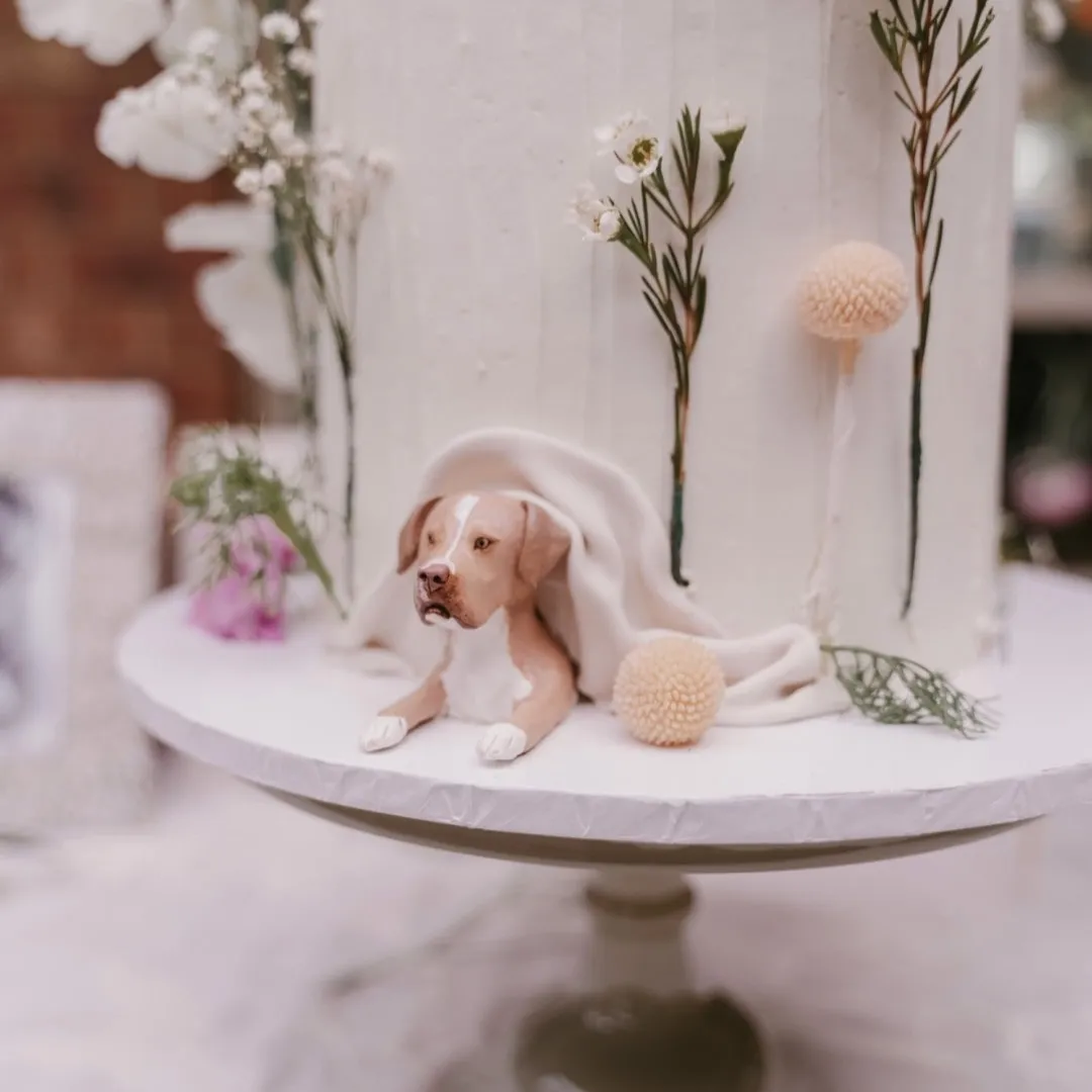 Peeking custom pet wedding cake topper