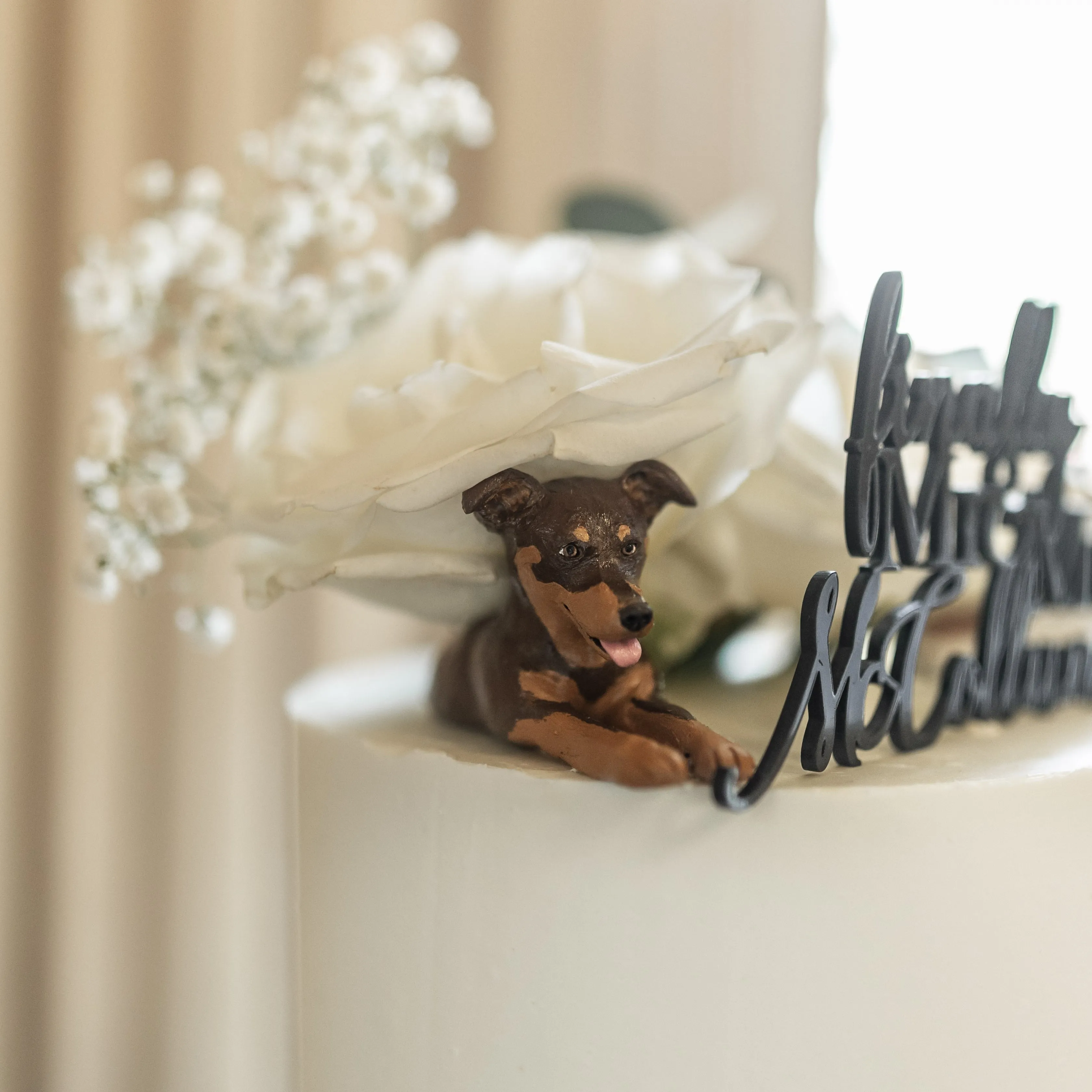 Peeking custom pet wedding cake topper