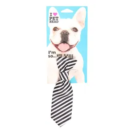 Pet Head I'm So Fly Black & White Stripe Tie Pet Head I'm So Fly Black & White Stripe Tie