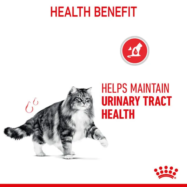 Royal Canin | Feline Health Nutrition | Dry Cat Food | Urinary Care 2kg