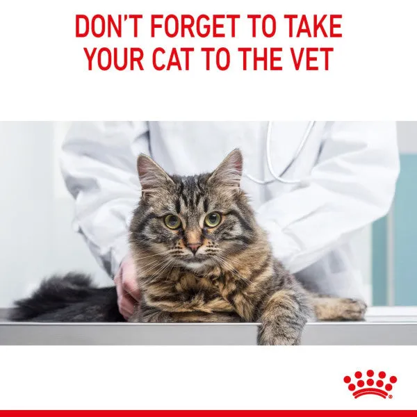Royal Canin | Feline Health Nutrition | Dry Cat Food | Urinary Care 2kg