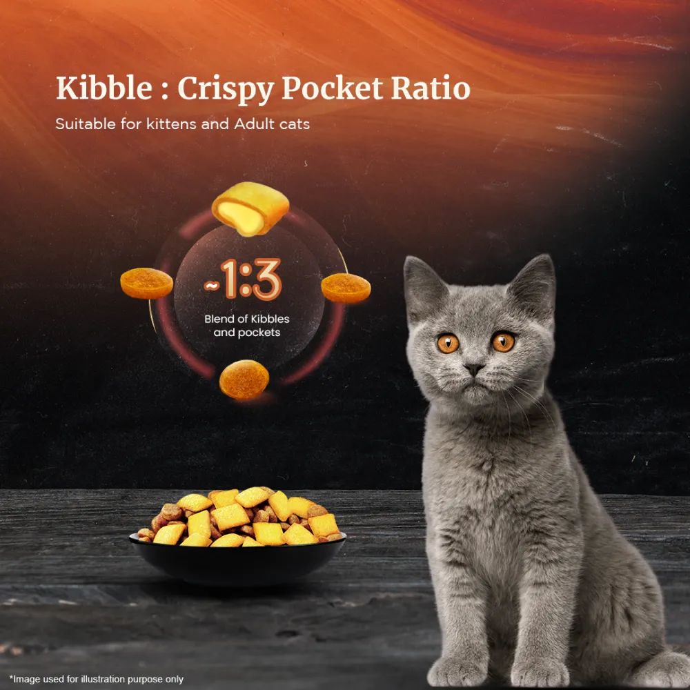 Sheba Chicken Loaf Premium Kitten (2 to 12 Months) Wet Food and Chicken All Life Stage Cat Dry Food Combo