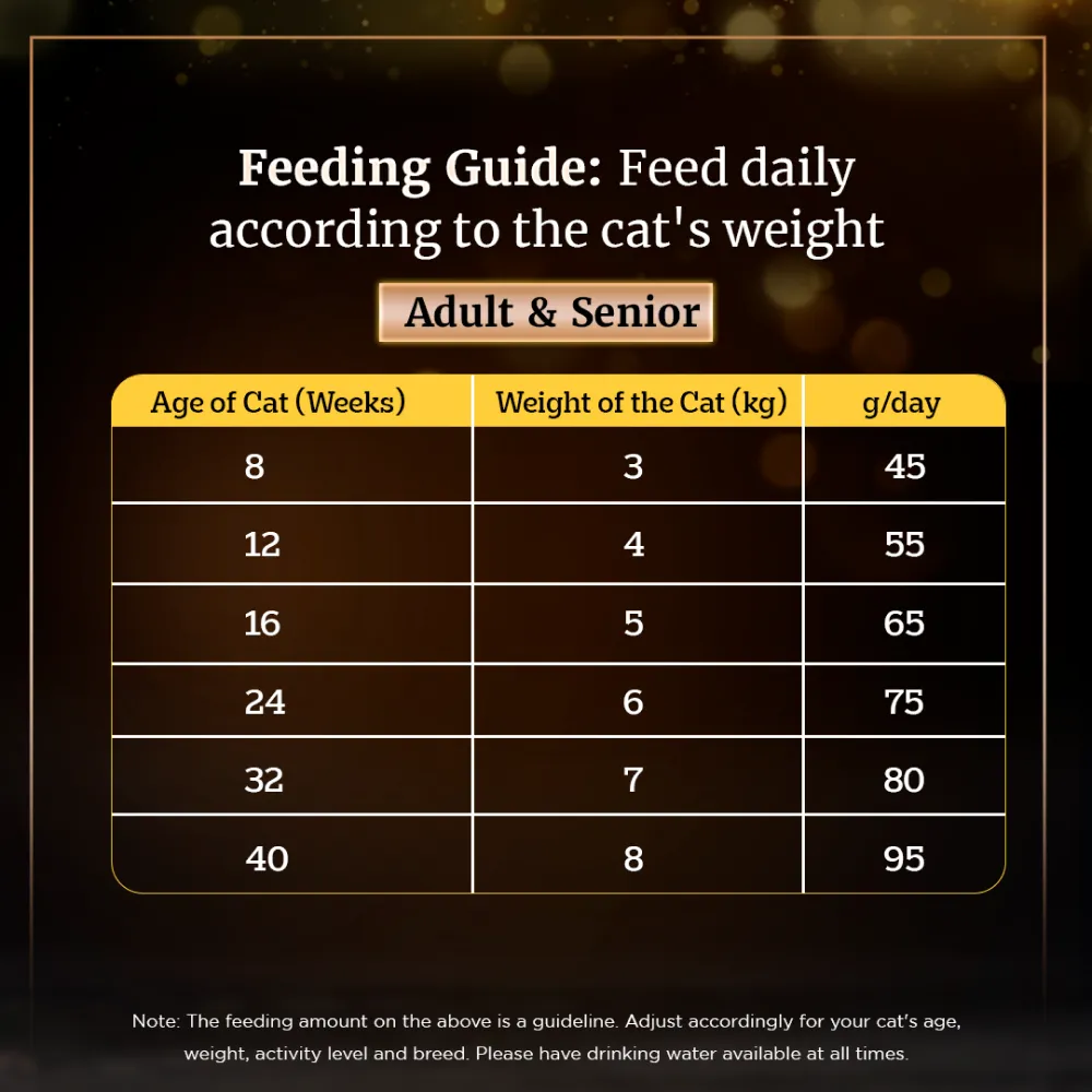 Sheba Tuna Fillet & Whole Prawns in Gravy Premium Cat Wet Food and Chicken Flavour Irresistible All Life Stage Cat Dry Food Combo